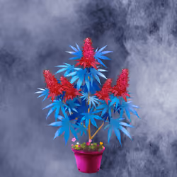 NFTokin #3302