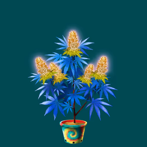 NFTokin #12114