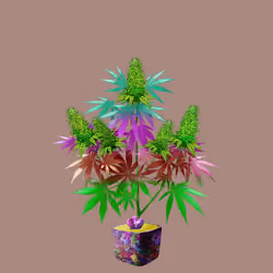 NFTokin #11676