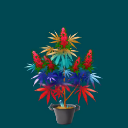 NFTokin #661