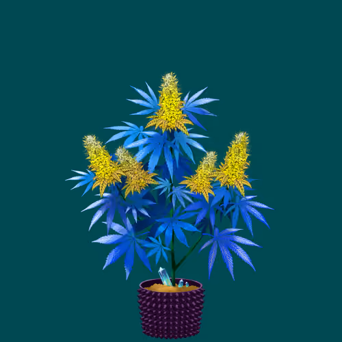 NFTokin #9787