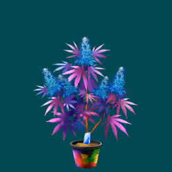 NFTokin #12792