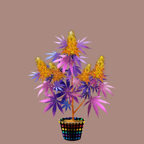 NFTokin #10556