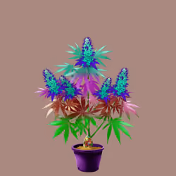 NFTokin #5163