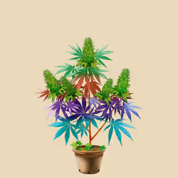 NFTokin #5669
