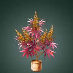 NFTokin #9198