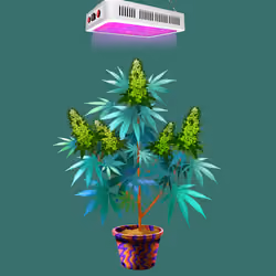 NFTokin #7185