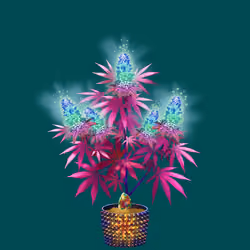 NFTokin #8328