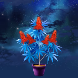 NFTokin #12707