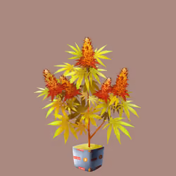 NFTokin #9365