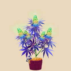 NFTokin #6253