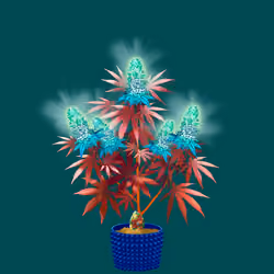 NFTokin #4976
