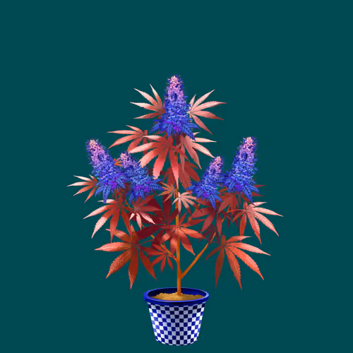 NFTokin #8270