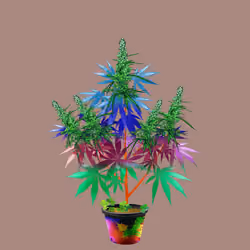 NFTokin #7709