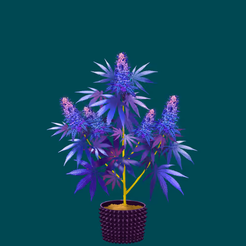 NFTokin #7583
