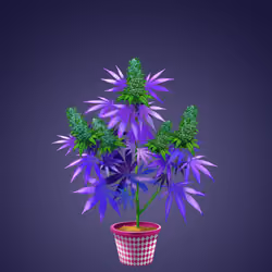 NFTokin #9830