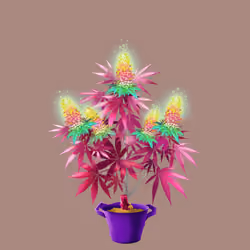 NFTokin #7916