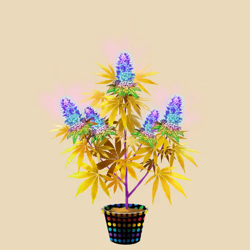 NFTokin #11453