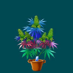NFTokin #4087