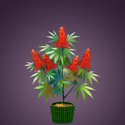 NFTokin #3593