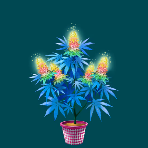 NFTokin #6629