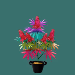 NFTokin #12464