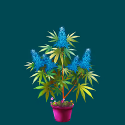 NFTokin #5470