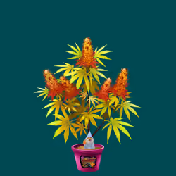 NFTokin #1915