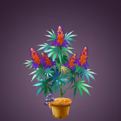 NFTokin #10699