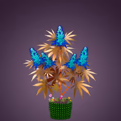 NFTokin #264