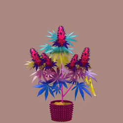 NFTokin #9619