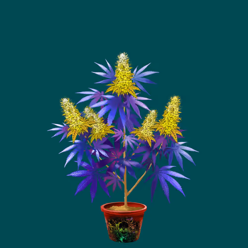 NFTokin #10975