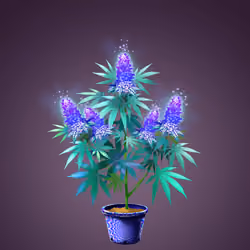 NFTokin #5904