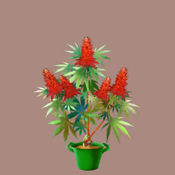 NFTokin #3117