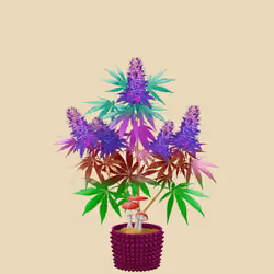 NFTokin #7547