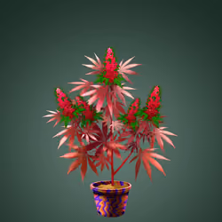 NFTokin #12958