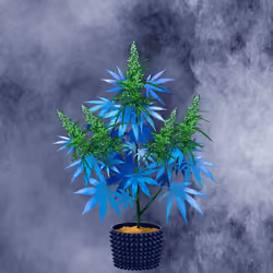 NFTokin #8719