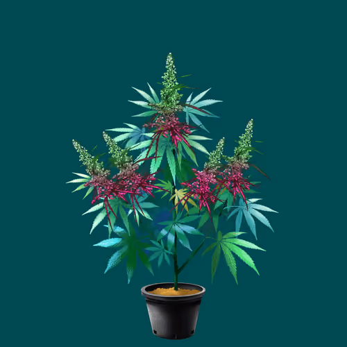 NFTokin #1674