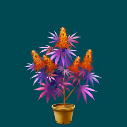 NFTokin #11741