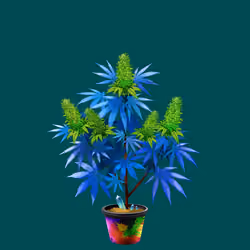 NFTokin #8379