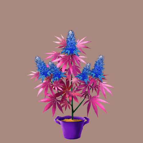 NFTokin #10722