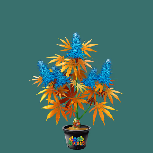 NFTokin #7672