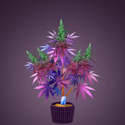 NFTokin #3972