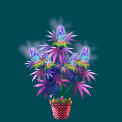 NFTokin #8756
