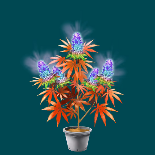 NFTokin #9298