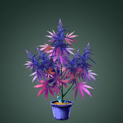 NFTokin #11085