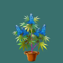 NFTokin #9004