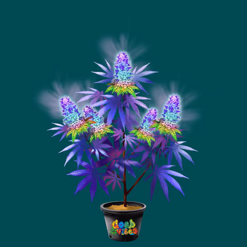NFTokin #11667