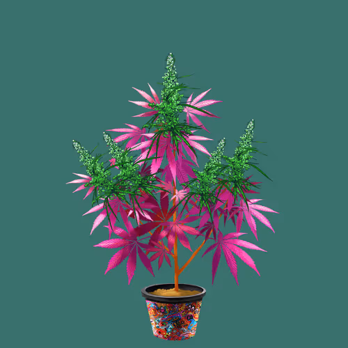NFTokin #5865