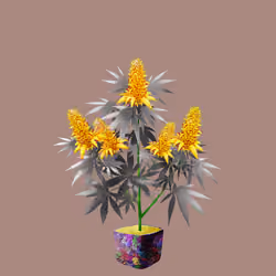 NFTokin #8663